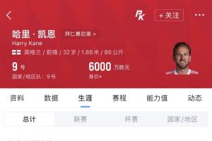 蜘蛛直播-蜘蛛直播nba高清无插件_蜘蛛直播nba免费高清现场转播