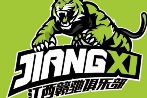 阿根廷国家队直播_阿根廷比赛免费观看_阿根廷高清无插件直播